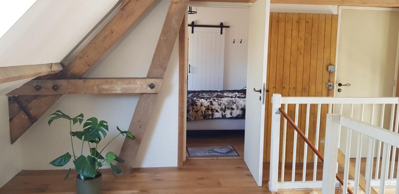 B&B Hoeve Ruimzicht Renesse Bagian luar foto