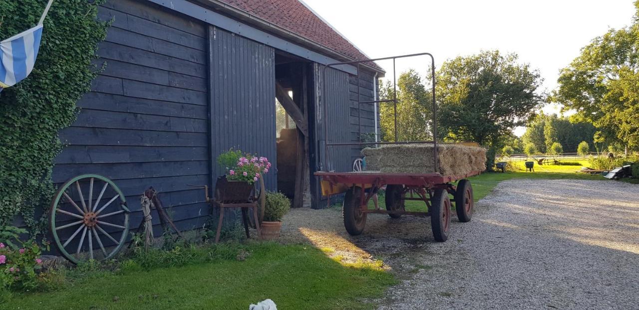 B&B Hoeve Ruimzicht Renesse Bagian luar foto