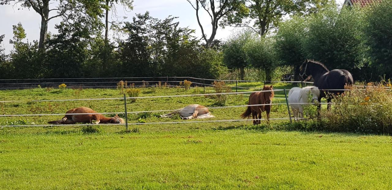 B&B Hoeve Ruimzicht Renesse Bagian luar foto