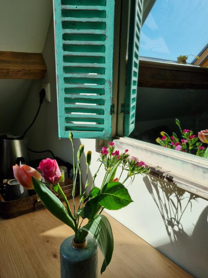 B&B Hoeve Ruimzicht Renesse Bagian luar foto